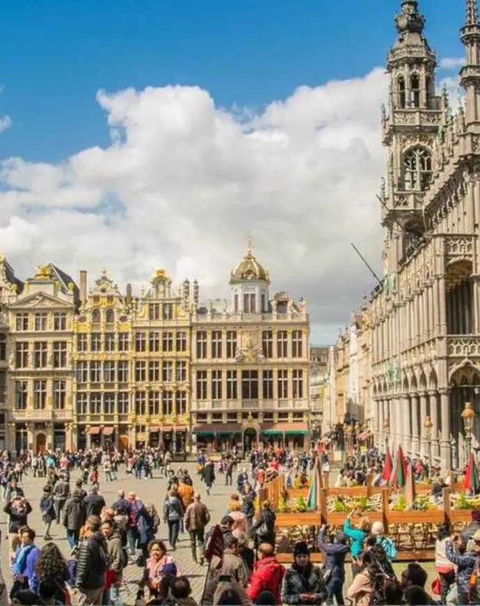 TAXI ORGANIZATIONS LIMITED